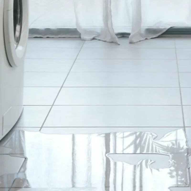 Appliance Leak Cleanup in Hagerstown, MD