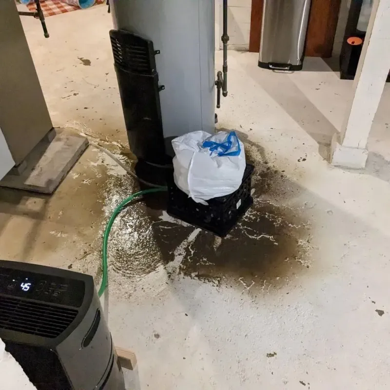 Sewage Backup Cleanup Service in Hagerstown, MD